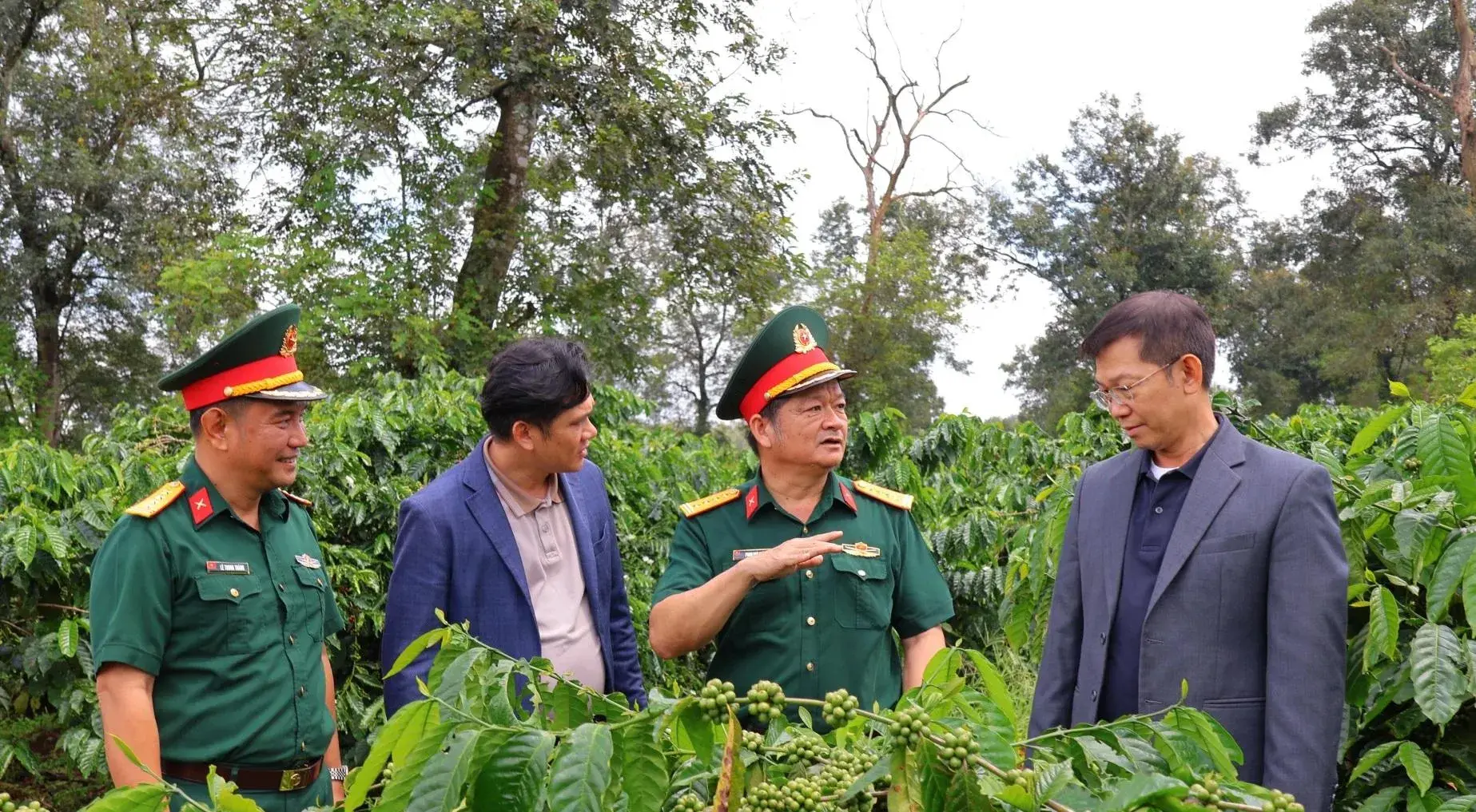 Cà phê người lính: Từ đất bạc màu đến chuẩn hữu cơ quốc tế