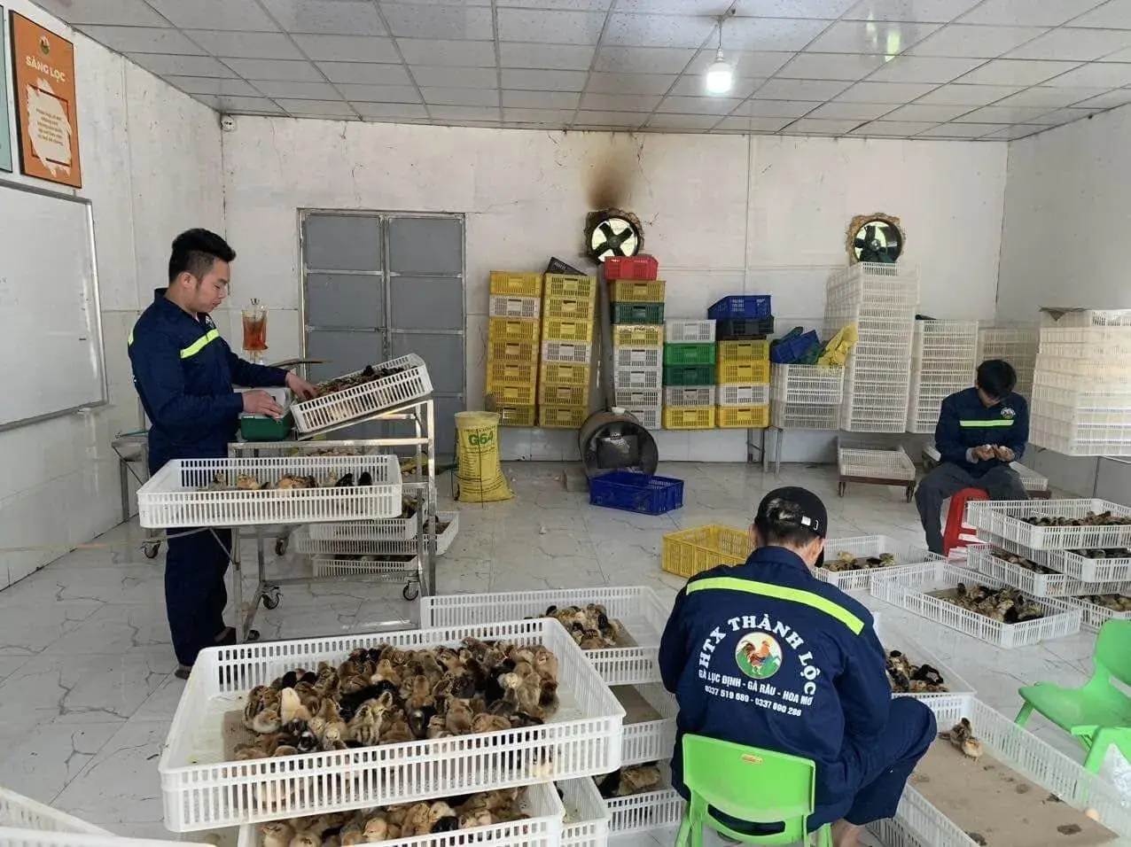 Từ sản vật núi rừng đến sản phẩm mang thương hiệu Mẫu Sơn