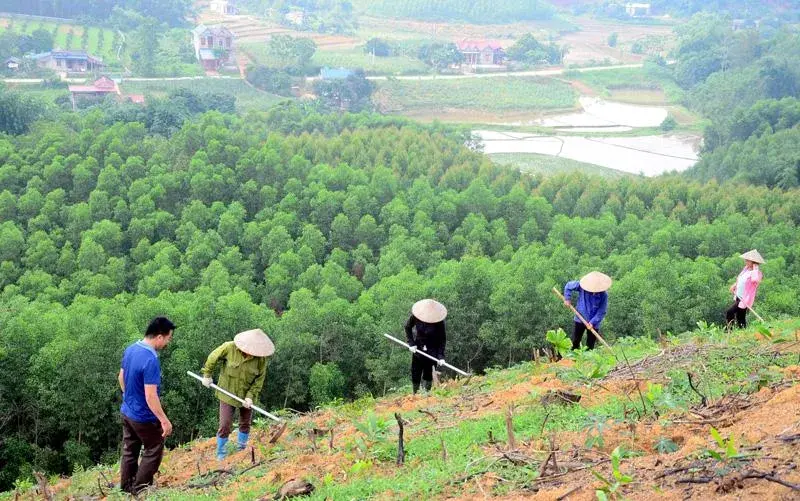 Công bố bản đồ ranh giới rừng hỗ trợ xuất khẩu nông lâm sản đáp ứng quy định EUDR