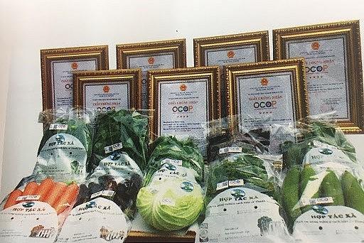 HTX Thanh Xuân: OCOP là đòn bẩy hữu hiệu giúp HTX nâng tầm thương hiệu, chinh phục NTD