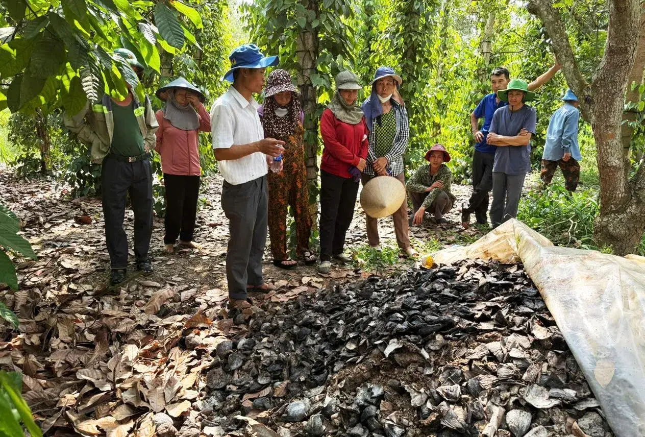 Tiêu dùng xanh: Từ lựa chọn cá nhân đến kinh tế tuần hoàn