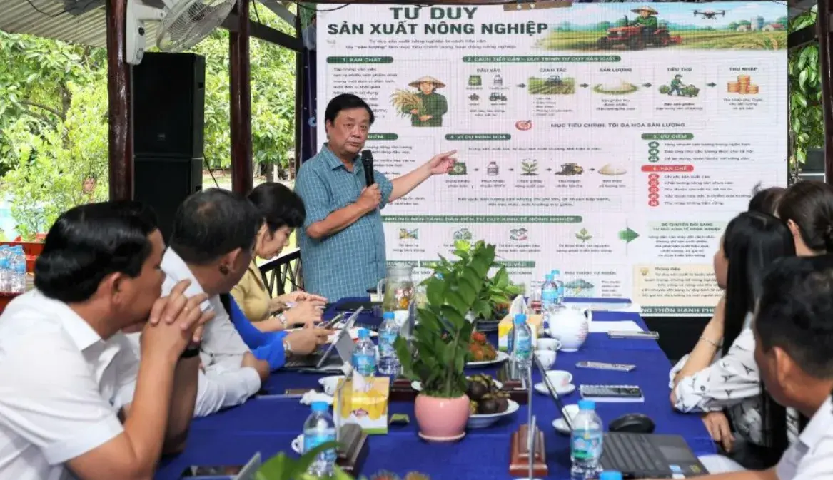 Bán trái măng cụt chỉ khá lên thôi chứ không giàu