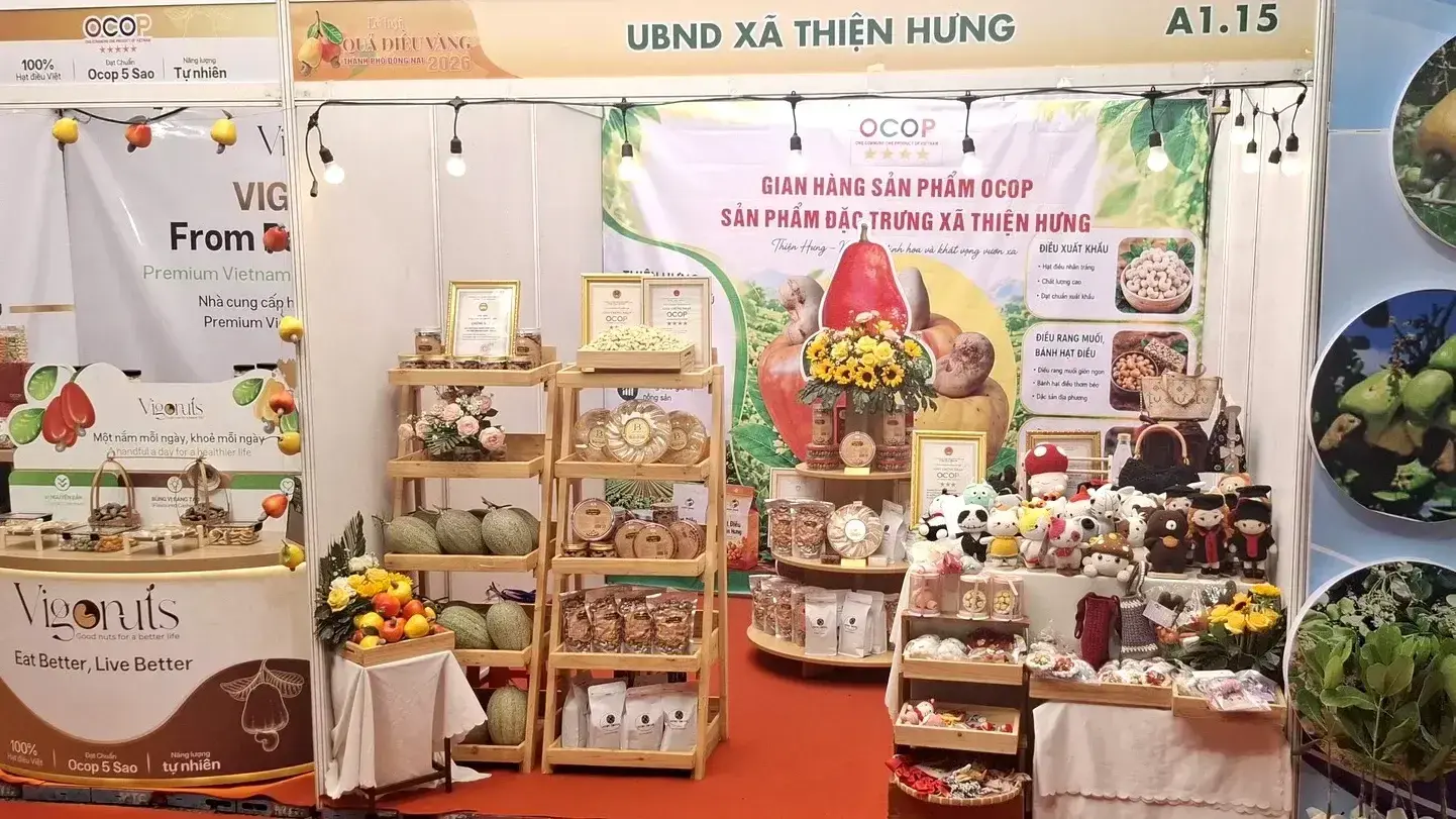 Hạt điều Việt Nam phát triển giá trị theo chuỗi chế biến sâu