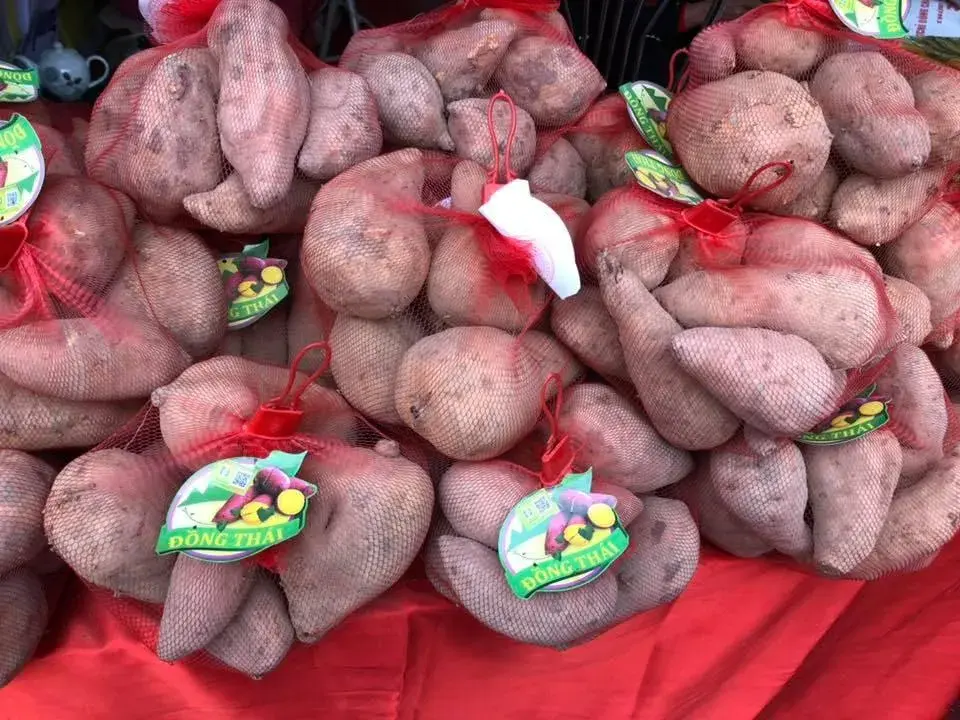 Sản phẩm OCOP và hành trình khẳng định vị thế trên thị trường