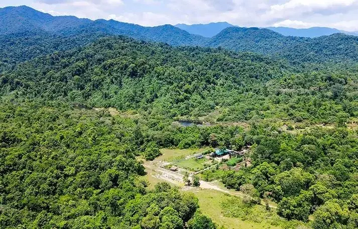 Gắn bảo vệ rừng với phát triển sinh kế bền vững