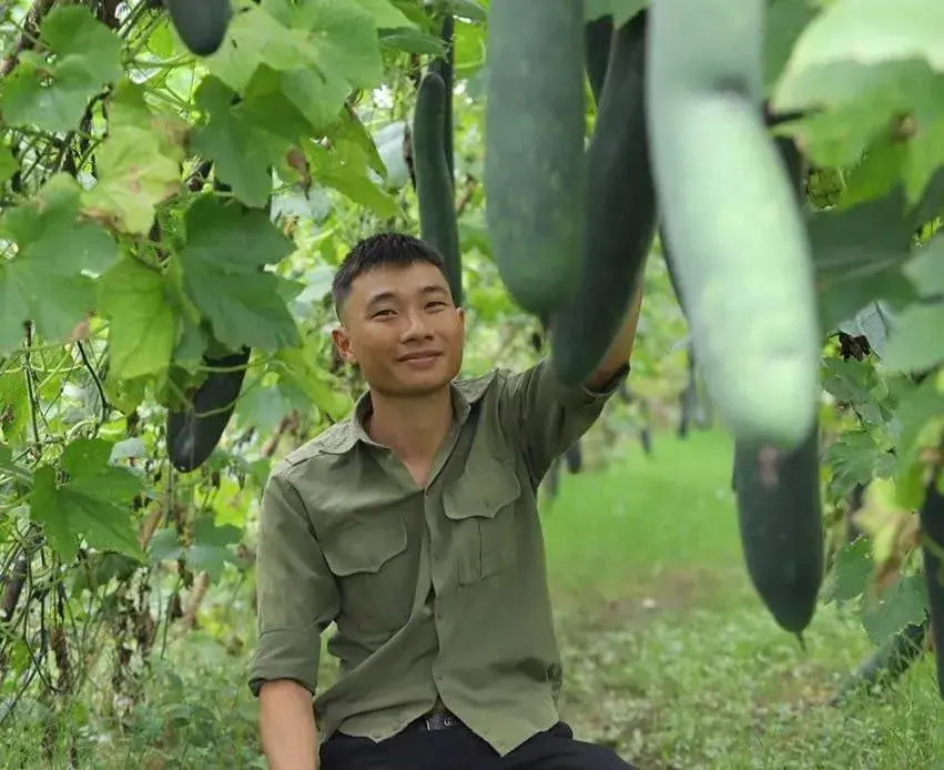 Từ Israel về quê Nghệ An trồng bí xanh kỹ sư trẻ thu 400 triệu đồng/năm
