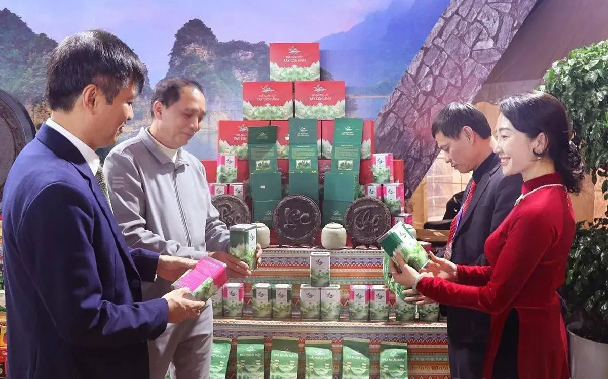 Đánh giá hương trà Shan tuyết, đưa sản phẩm OCOP 5 sao vươn ra thị trường