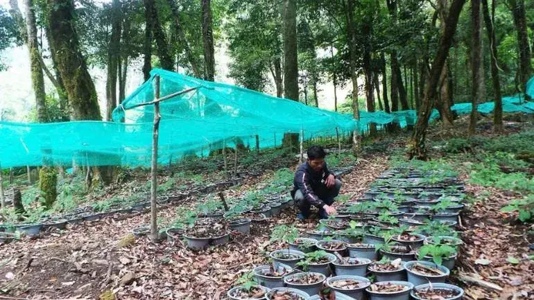 Xây dựng bản sắc cho mỹ phẩm thiên nhiên từ nguồn nông sản đặc hữu