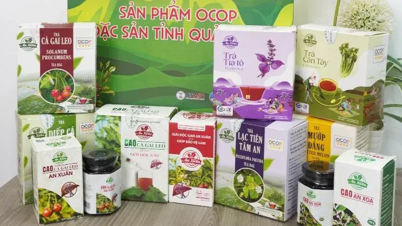 Quảng Trị mở đường xuất khẩu OCOP 5 sao ra thị trường quốc tế