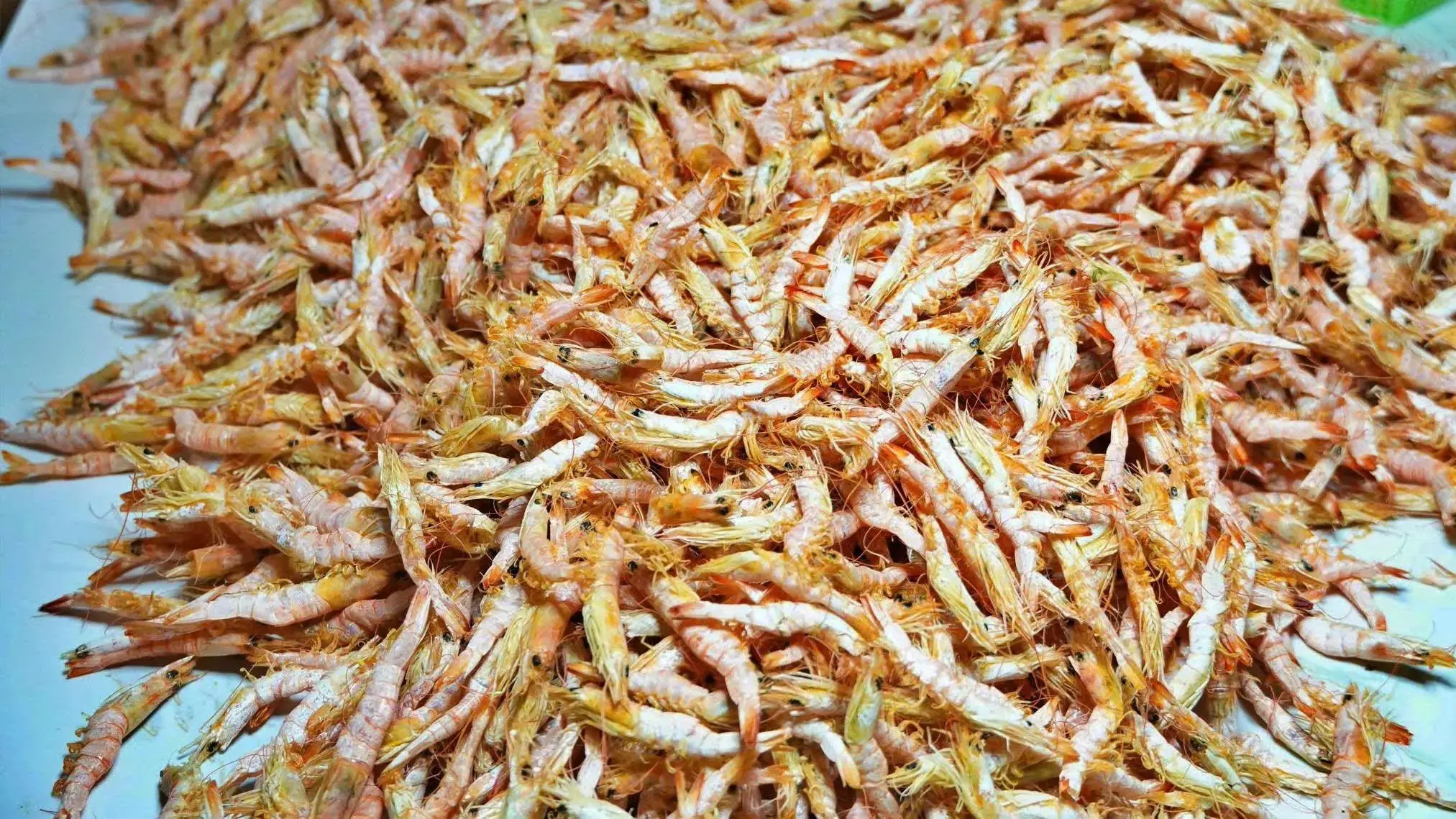 Đặc sản hình móng chim Cà Mau giá tiền triệu vẫn hút khách dịp Tết