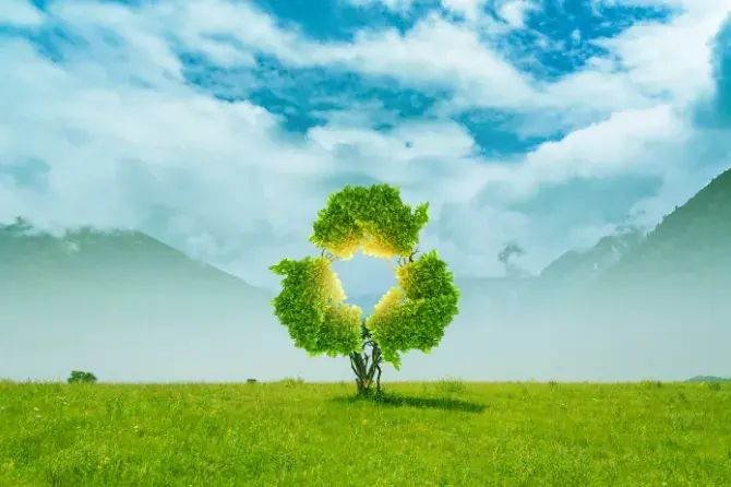 Bài 2: Nhận diện những điểm nghẽn trong lộ trình "xanh hóa" sản phẩm thiên nhiên