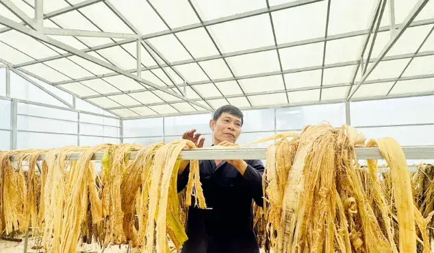 Biến phụ phẩm thành tiền và câu chuyện làm nông nghiệp bền vững