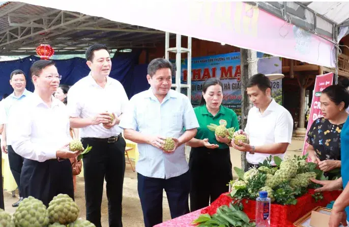 Na Núi đá Hà Giang 2