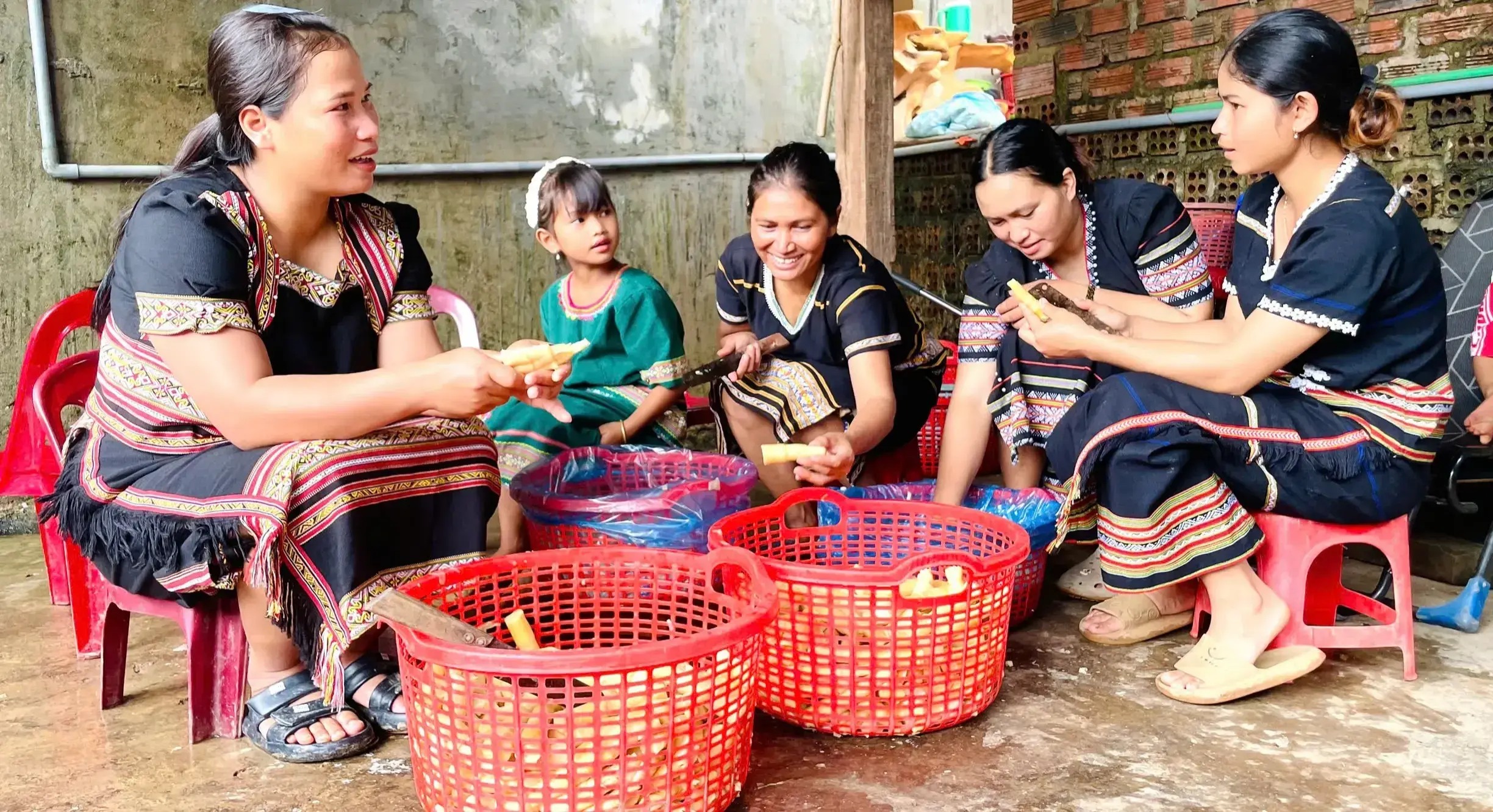 Hành trình đưa măng rừng Ngọk Réo từ đại ngàn ra thế giới
