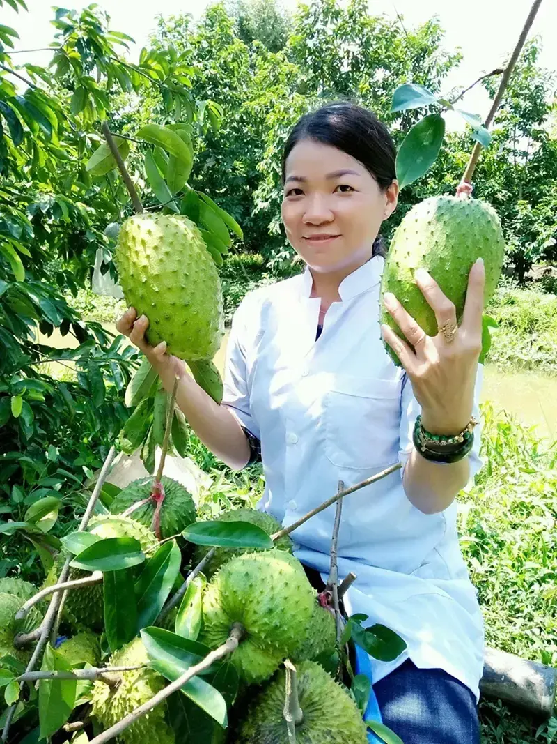 Từ trái mãng cầu quê nhà đến thương hiệu trà mãng cầu OCOP 4 sao