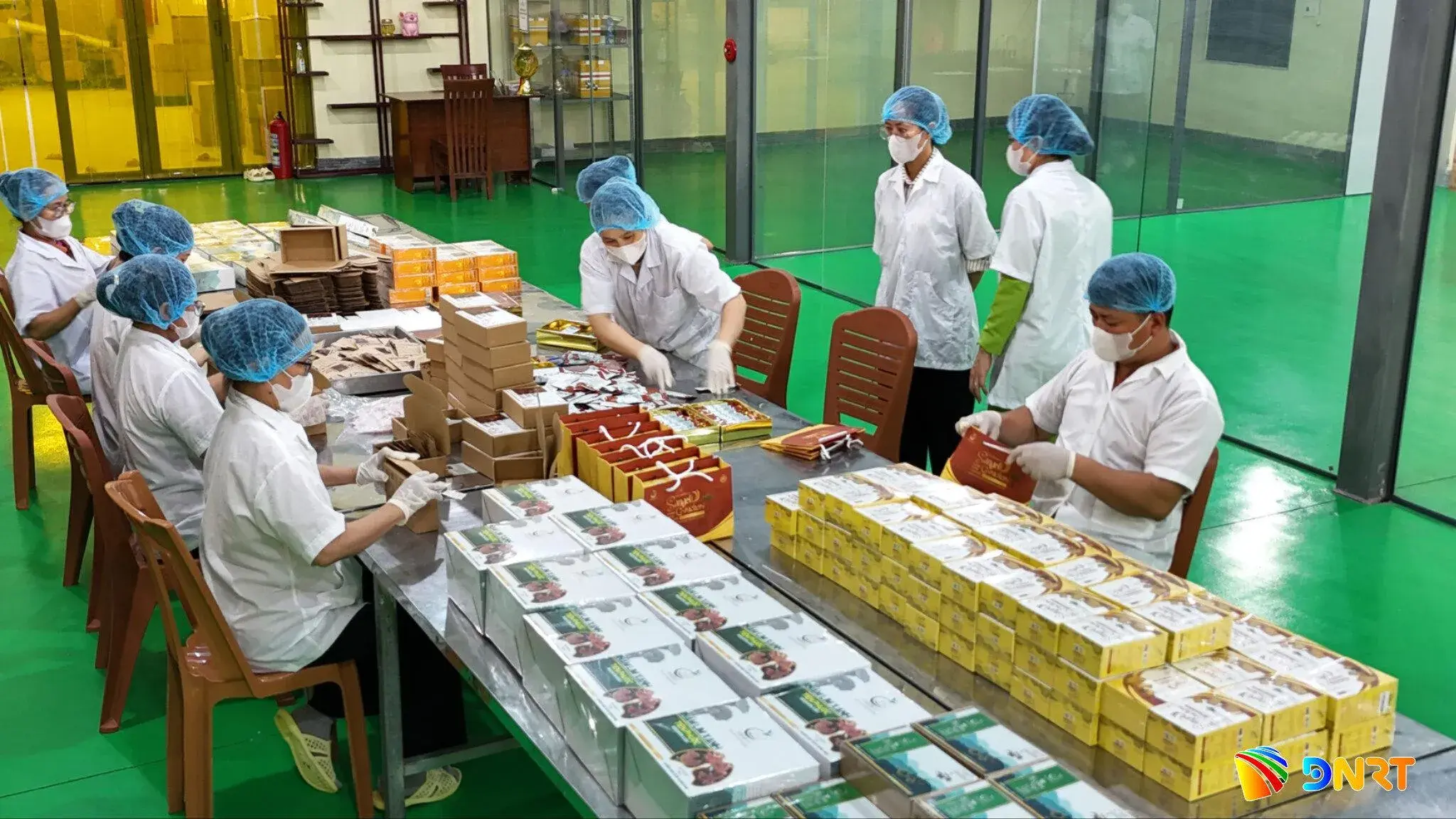 Đánh thức tiềm năng dược liệu miền núi Đà Nẵng