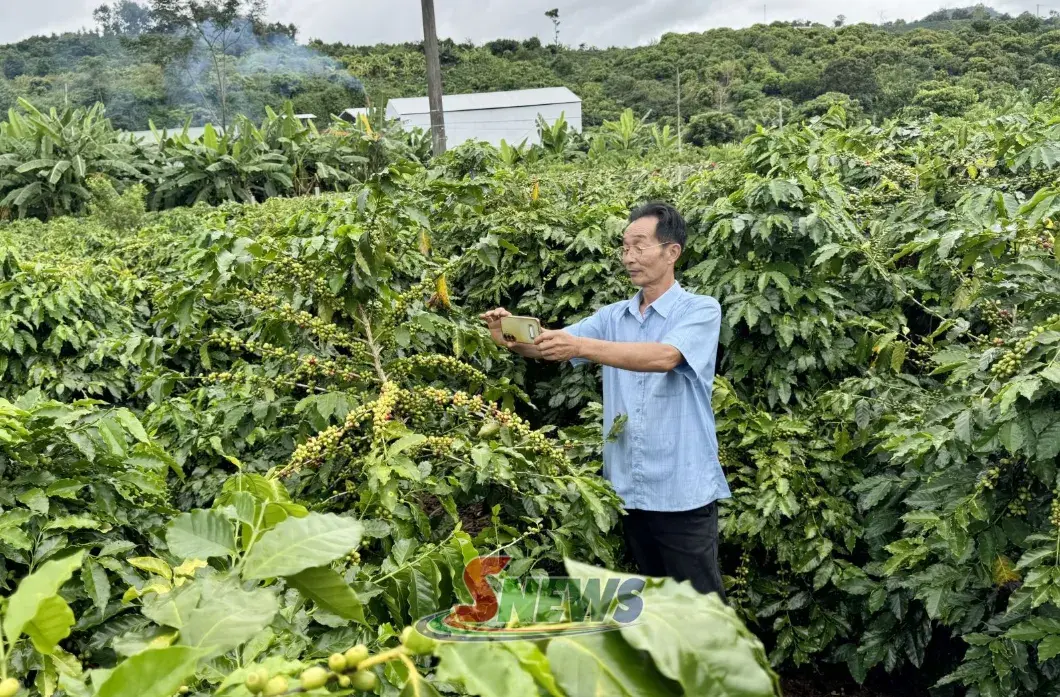 Giữ chuẩn chất lượng - Chìa khóa nâng tầm OCOP Sơn La