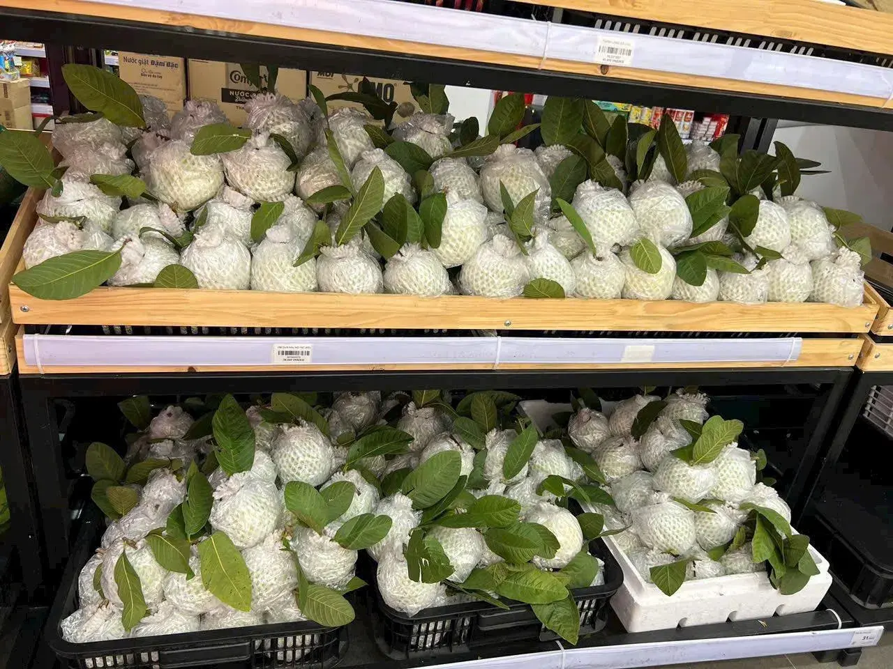 Đánh thức tiềm năng vùng ổi Hoành Bồ bằng "luồng gió" liên kết