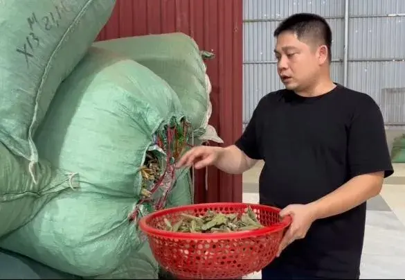 Thanh Hoá: Sơn Mộc Trà tập trung nâng chuẩn sản phẩm OCOP 3 sao chủ lực thay vì phát triển dàn trải