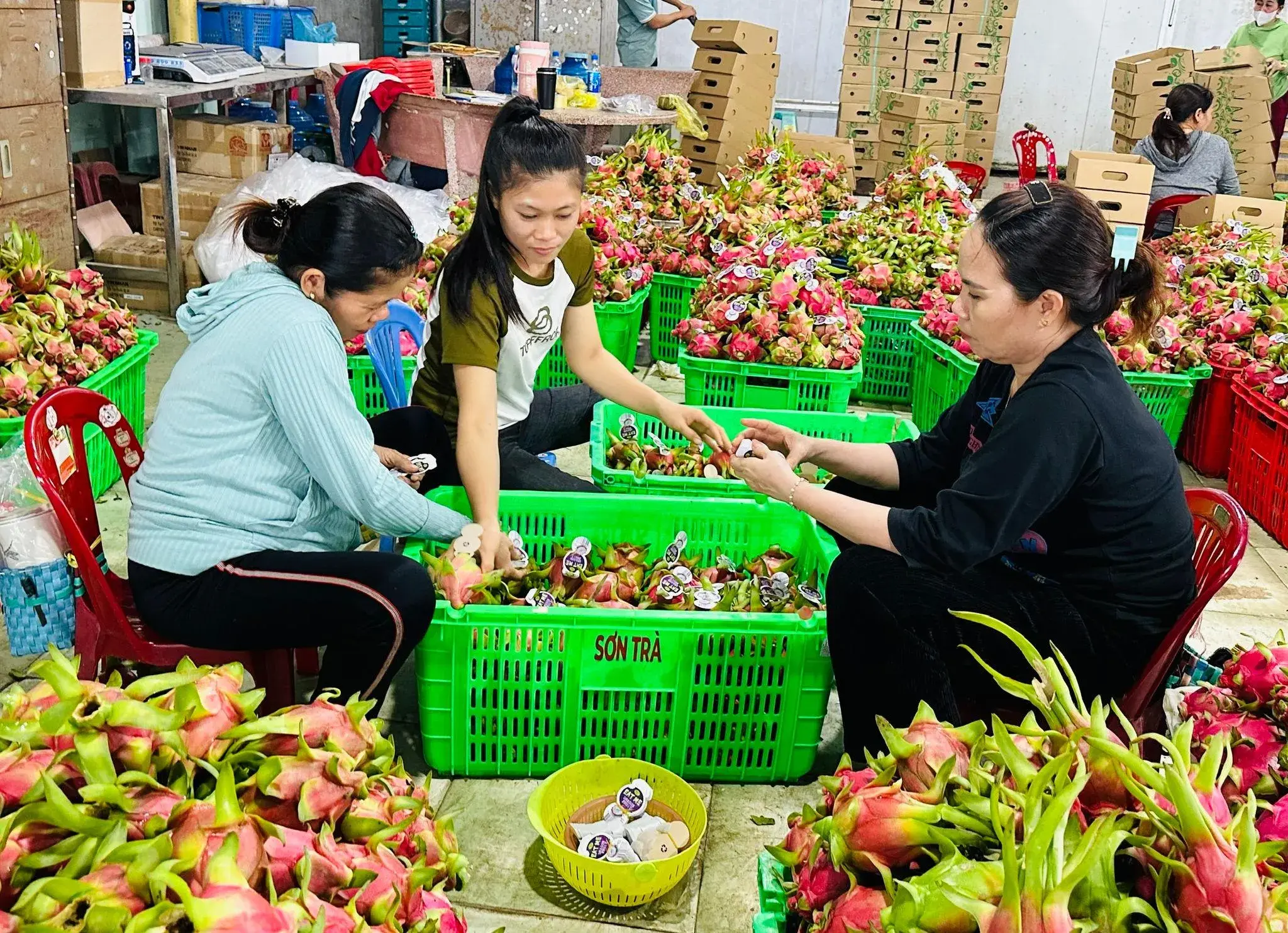 Không gian phát triển mới định hình nông nghiệp Lâm Đồng