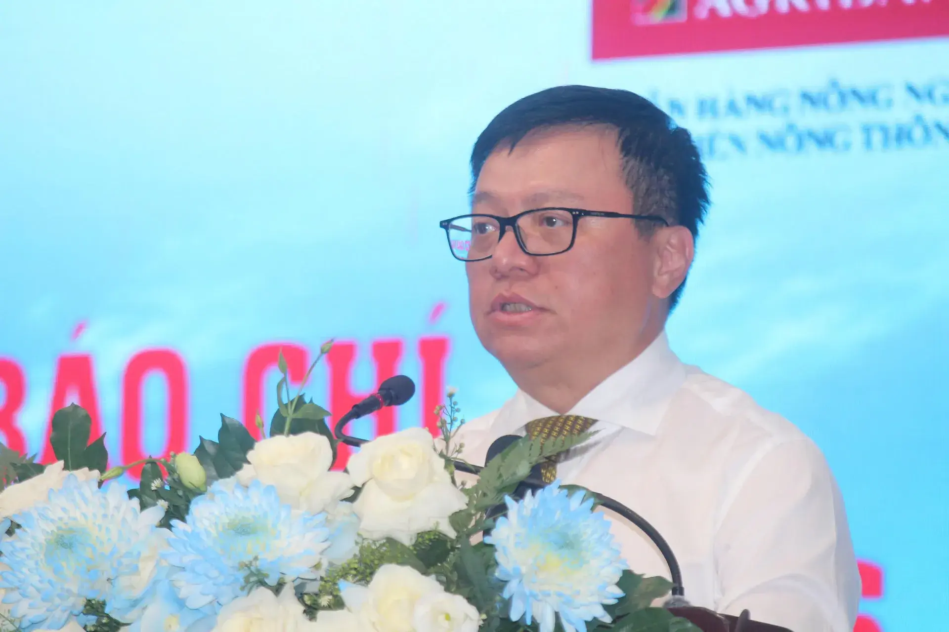 vinh-1_1780815486.png