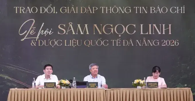 quynh_1784278993.webp